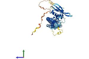 Protein Structure (PS) image for Sorting Nexin 4 (SNX4) (AA 1-450) protein (His tag) (ABIN7560104)