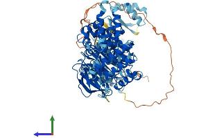 Protein Structure (PS) image for Phospholipase A2-Activating Protein (PLAA) (AA 1-795) protein (His tag) (ABIN7550868)