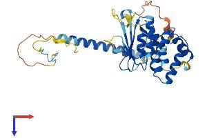 AIMP2 Protein (AA 1-320) (His tag)