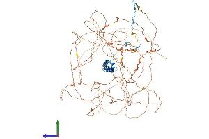 Protein Structure (PS) image for Sin3A-Associated Protein, 130kDa (SAP130) (AA 1-1057) protein (His tag) (ABIN7564365)