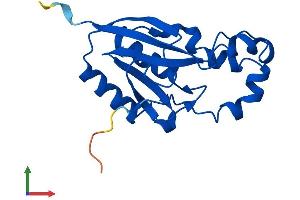 Protein Structure (PS) image for PPPDE Peptidase Domain Containing 2 (PPPDE2) (AA 1-168) protein (His tag) (ABIN7560578)