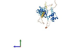 AlphaFold protein structure predicition of Human Recombinant ISL1 Protein, UniprotID P61371