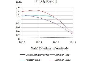 Black line: Control Antigen (100 ng),Purple line: Antigen (10 ng), Blue line: Antigen (50 ng), Red line:Antigen (100 ng) (TNFRSF18 抗体  (AA 184-241))