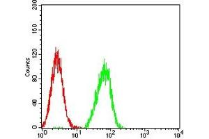 Flow Cytometry (FACS) image for anti-Hyaluronan Synthase 1 (HAS1) antibody (ABIN7193594)
