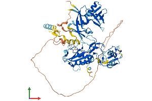 Protein Structure (PS) image for Deltex Homolog 4 (Drosophila) (DTX4) (AA 1-619) protein (His tag) (ABIN7547164)
