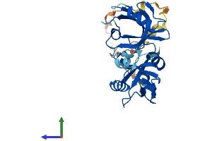 Protein Structure (PS) image for Syndecan Binding Protein (Syntenin) 2 (SDCBP2) (AA 1-292) protein (His tag) (ABIN7545913)