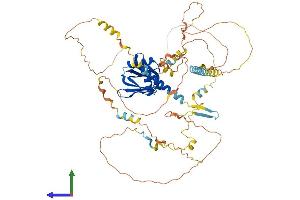 Protein Structure (PS) image for Numb Homolog (Drosophila)-Like (NUMBL) (AA 1-609) protein (His tag) (ABIN7554811)