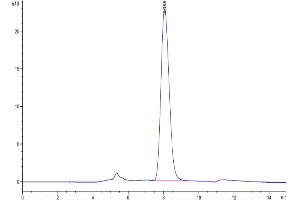 Size-exclusion chromatography-High Pressure Liquid Chromatography (SEC-HPLC) image for Myelin Associated Glycoprotein (MAG) (AA 20-516) protein (His tag) (ABIN7275225)