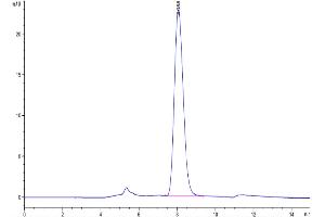 The purity of Human Siglec-4a/MAG is greater than 95 % as determined by SEC-HPLC. (MAG Protein (AA 20-516) (His tag))