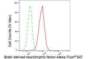 Flow cytometric analysis of Brain derived neurotrophic factor expression in HepG2 cells using Brain derived neurotrophic factor antibody (ABIN7797780), 1:2,000). (Recombinant BDNF 抗体)