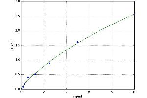 Lipase, Endothelial (LIPG) ELISA Kit