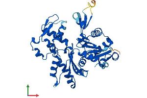 Protein Structure (PS) image for Actin Related Protein M1 (ARPM1) (AA 1-372) protein (His tag) (ABIN7551901)