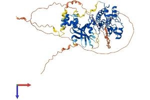 AlphaFold protein structure predicition of Mouse Recombinant Smok2a Protein, UniprotID Q9QYZ6