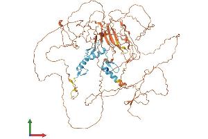 Protein Structure (PS) image for Sp3 Transcription Factor (Sp3) (AA 1-783) protein (His tag) (ABIN7562556)