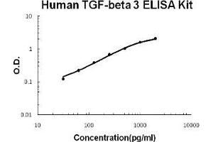 Human TGF-beta 3 PicoKine ELISA Kit standard curve (TGFB3 ELISA 试剂盒)