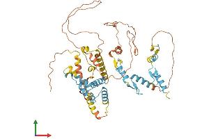 Protein Structure (PS) image for Zinc Finger Protein 215 (ZNF215) (AA 1-517) protein (His tag) (ABIN7545647)