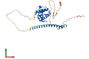 Protein Structure (PS) image for Microtubule-Associated Protein, RP/EB Family, Member 2 (MAPRE2) (AA 1-327) protein (His tag) (ABIN7549321)