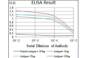 Black line: Control Antigen (100 ng), Purple line: Antigen(10 ng), Blue line: Antigen (50 ng), Red line: Antigen (100 ng), (T Antigen (AA 257-309) 抗体)
