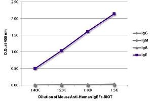 ELISA plate was coated with purified human IgG, IgM, IgA, and IgE. (小鼠 anti-人 IgE (Fc Region) Antibody (Biotin))