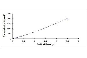 Typical standard curve (RNASE1 ELISA 试剂盒)