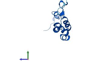 AlphaFold protein structure predicition of Mouse Recombinant Ndufs5 Protein, UniprotID Q99LY9