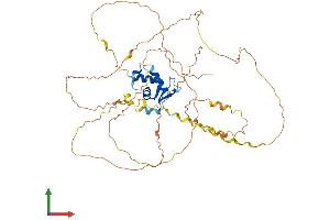 Protein Structure (PS) image for Forkhead Box D2 (FOXD2) (AA 1-492) protein (His tag) (ABIN7562311)