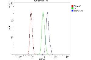 Flow Cytometry analysis of HL-60 cells using anti- EEF2 antibody (ABIN7603141).