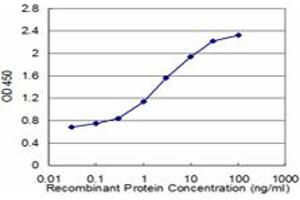 Detection limit for recombinant GST tagged ZIC1 is approximately 0. (ZIC1 抗体  (AA 2-95))