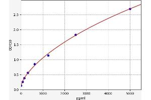 Typical standard curve (Survivin ELISA 试剂盒)