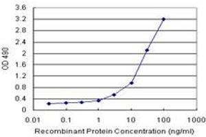TSC22D3 (Human) Matched Antibody Pair