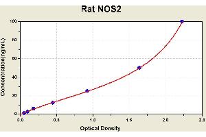 Nitric Oxide Synthase 2, Inducible (NOS2) ELISA Kit