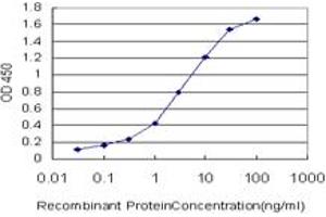 Detection limit for recombinant GST tagged MARCKSL1 is approximately 0. (MARCKSL1 抗体  (AA 107-195))