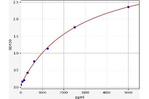 CD74 ELISA 试剂盒