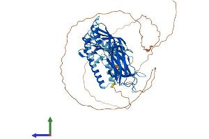 Protein Structure (PS) image for Synaptotagmin Like Protein 1 (SYTL1) (AA 1-567) protein (His tag) (ABIN7560435)