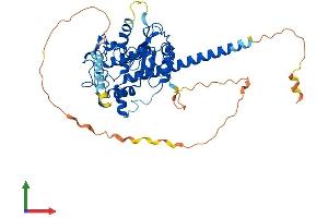 AlphaFold protein structure predicition of Human Recombinant HS6ST3 Protein, UniprotID Q8IZP7