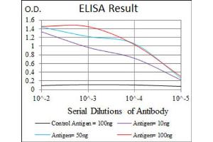 ELISA image for anti-CCAAT/enhancer Binding Protein (C/EBP), alpha (CEBPA) antibody (ABIN1845802)