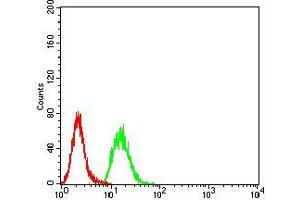 Flow cytometric analysis of Hela cells using ESRRA mouse mAb (green) and negative control (red). (ESRRA 抗体  (AA 198-376))