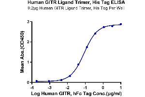 ELISA image for Tumor Necrosis Factor (Ligand) Superfamily, Member 18 (TNFSF18) (AA 50-177), (Trimer) protein (His-DYKDDDDK Tag) (ABIN7274681)