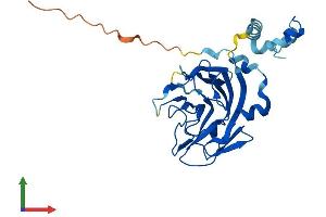 AlphaFold protein structure predicition of Human Recombinant SPSB2 Protein, UniprotID Q99619