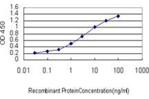 Detection limit for recombinant GST tagged SRGAP1 is approximately 0. (SRGAP1 抗体  (AA 952-1050))