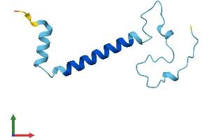 AlphaFold protein structure predicition of Human Recombinant NDUFA4L2 Protein, UniprotID Q9NRX3