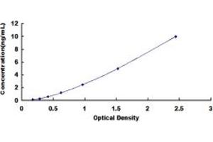 Typical standard curve (MAST2 ELISA 试剂盒)