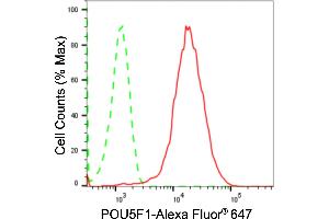 Flow cytometric analysis of POU5F1 expression in HAP-1 cells using POU5F1 antibody (ABIN7799888), 1:2,000). (Recombinant OCT4 抗体)