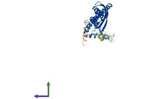 Protein Structure (PS) image for Stomatin (STOM) (AA 1-284) protein (His tag) (ABIN7556163)