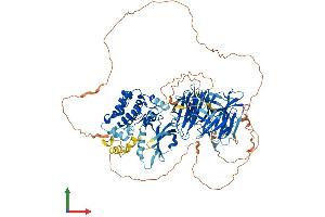 Protein Structure (PS) image for Mitogen-Activated Protein Kinase Kinase Kinase Kinase 3 (MAP4K3) (AA 1-894) protein (His tag) (ABIN7554485)