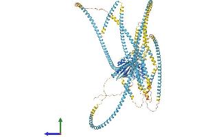 AlphaFold protein structure predicition of Human Recombinant KIF15 Protein, UniprotID Q9NS87 (KIF15 Protein (AA 1-1388) (His tag))