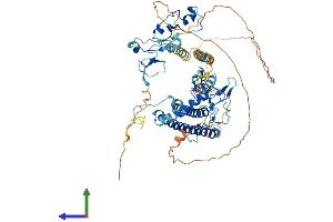Protein Structure (PS) image for CXXC Finger Protein 1 (CXXC1) (AA 1-660) protein (His tag) (ABIN7560692)