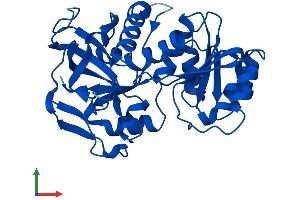 AlphaFold protein structure predicition of Human Recombinant TP53I3 Protein, UniprotID Q53FA7