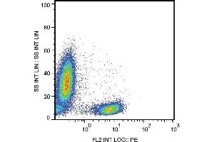 Surface staining of human peripheral blood leukocytes with anti-human CD28 (CD28. (CD28 抗体  (PE))