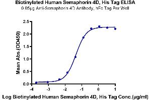 Immobilized Anti-Semaphorin 4D Antibody, hFc Tag at 0. (SEMA4D/CD100 Protein (AA 22-734) (His-Avi Tag,Biotin))